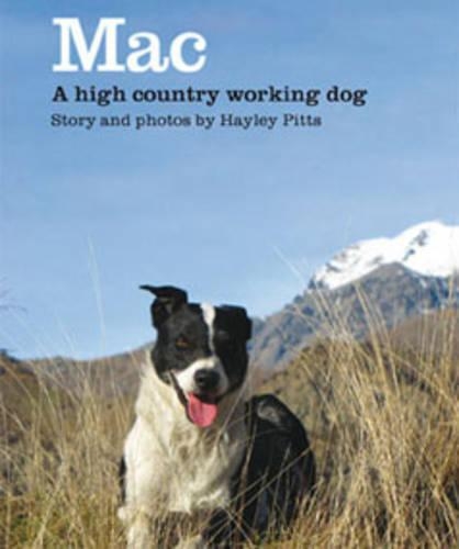 Cover of Mac: A High Country Working Dog