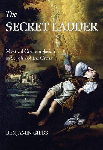 Cover of The Secret Ladder