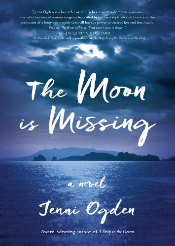 Cover of The Moon is Missing