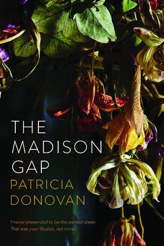 Cover of The Madison Gap