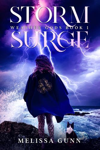 Cover of Storm Surge