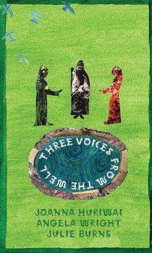 Cover of Three Voices from the Well