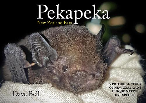 Cover of Pekapeka: New Zealand Bats