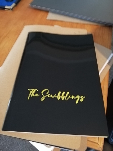 Cover of The Scribblings: How I stayed sane