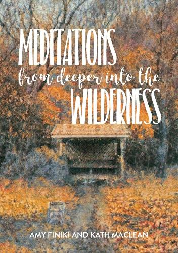 Cover of Meditations from Deeper into the Wilderness
