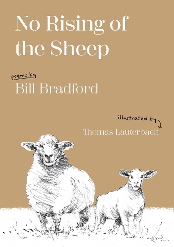 Cover of No Rising of the Sheep