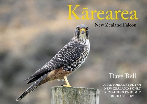 Cover of Kārearea: New Zealand Falcon