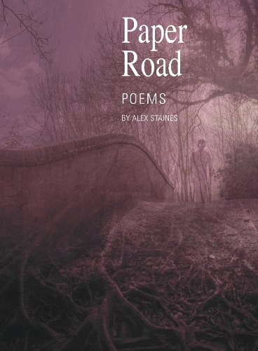 Cover of Paper Road: Poems