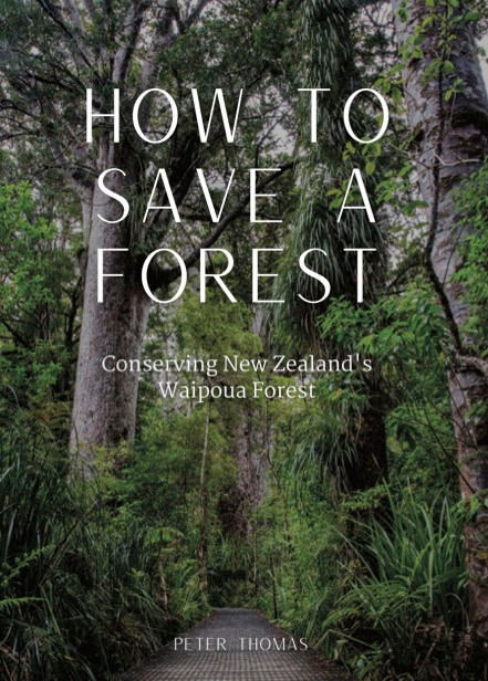 Cover of How to Save a Forest: Conserving New Zealand's Waipoua Forest