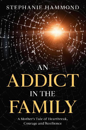 Cover of An Addict in the Family: A Mother's Tale of Heartbreak, Courage and Resilience