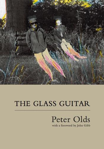 Cover of The Glass Guitar