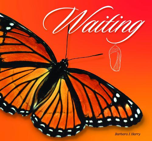 Cover of Waiting: Soul Transformation