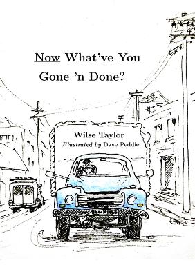 Cover of Now What've You Gone 'n Done?