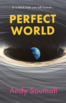 Cover of Perfect World