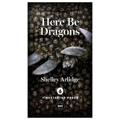 Cover of Here Be Dragons