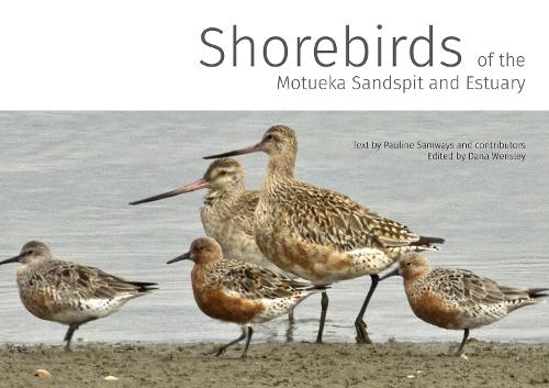 Cover of Shorebirds of the Motueka Sandspit & Estuary