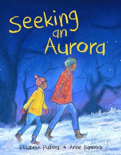 Cover of Seeking an Aurora