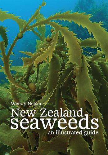Cover of New Zealand Seaweeds: An Illustrated Guide: 2020
