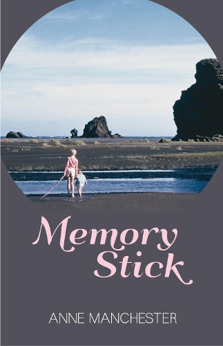 Cover of Memory Stick