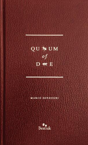 Cover of Quantum of Dante