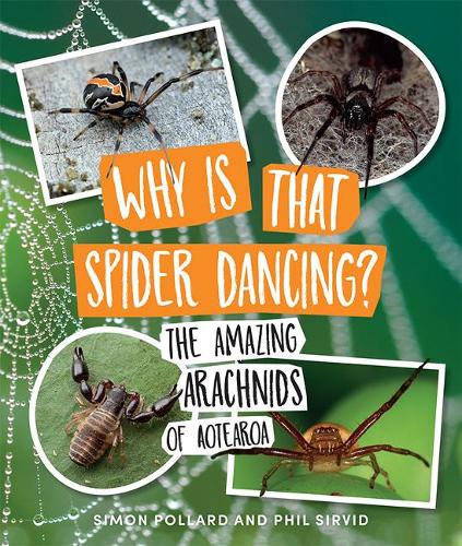 Cover of Why Is That Spider Dancing?: The Amazing Arachnids of Aotearoa