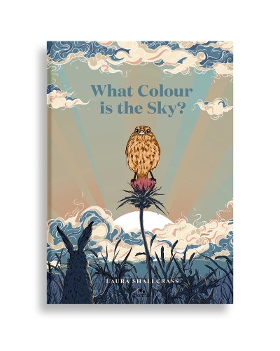 Cover of What Colour Is The Sky?