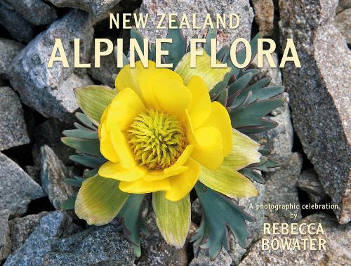 Cover of New Zealand Alpine Flora: A photographic celebration