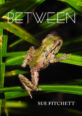 Cover of Between