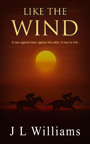 Cover of Like The Wind