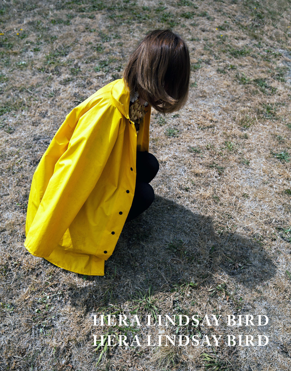 Cover of Hera Lindsey Bird