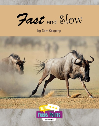 Cover of Fast and Slow