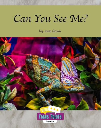 Cover of Can You See Me?