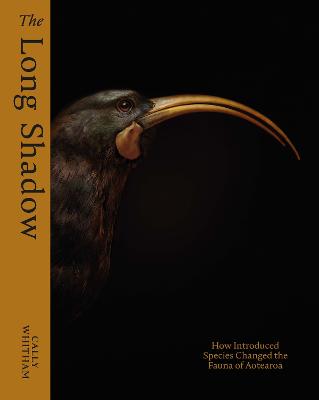 Cover of The Long Shadow