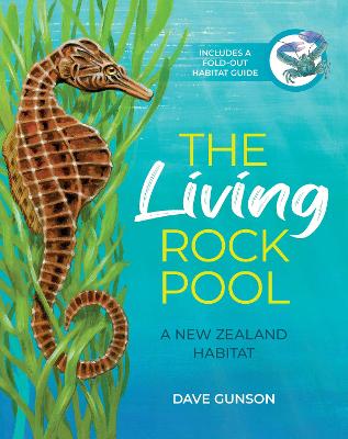 Cover of The Living Rock Pool