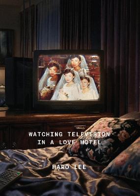 Cover of Watching Television in a Love Motel