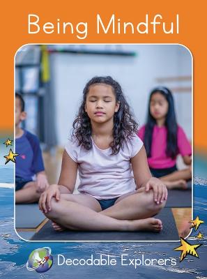 Cover of Being Mindful: Fluency Boost