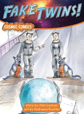 Cover of Fake Twins