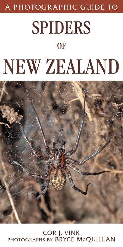 Cover of A Photographic Guide to Spiders of New Zealand