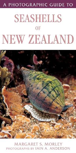 Cover of A Photographic Guide to Seashells of New Zealand