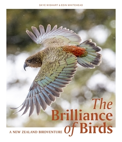 Cover of The Brilliance of Birds: A New Zealand Birdventure