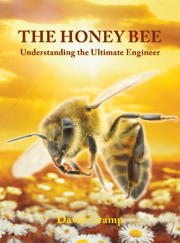 Cover of The Honey Bee: Understanding the Ultimate Engineer