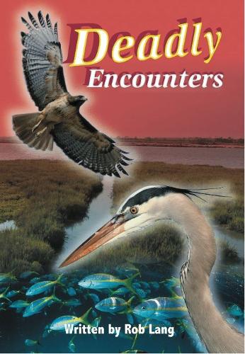 Cover of Deadly Encounters