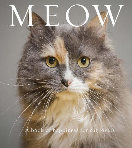 Cover of Meow: A Book of Happiness for Cat Lovers