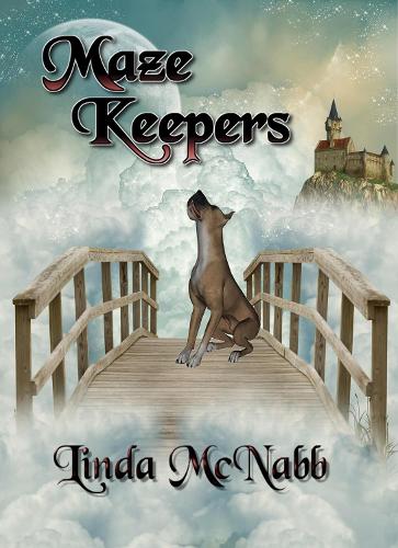 Cover of Maze Keepers