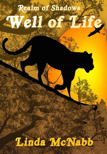Cover of Well of Life