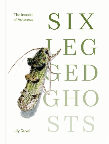Cover of Six-legged Ghosts: The insects of Aotearoa