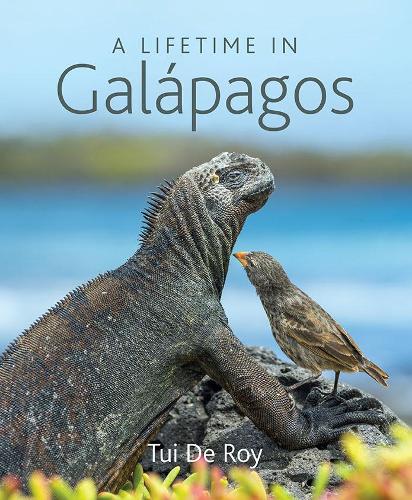 Cover of A Lifetime in Galapagos