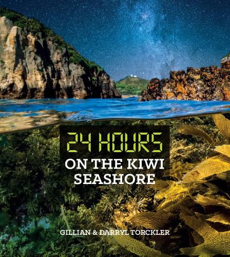 Cover of 24 Hours On The Kiwi Seashore