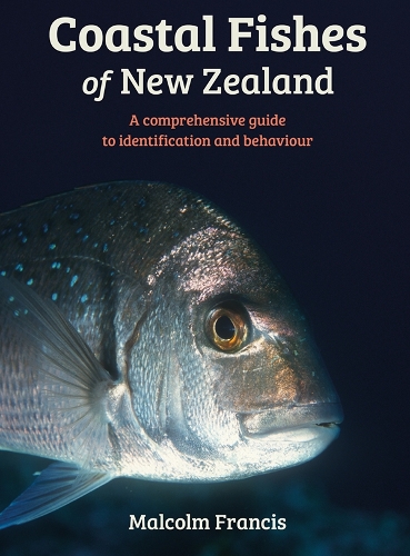 Cover of Coastal Fishes of New Zealand