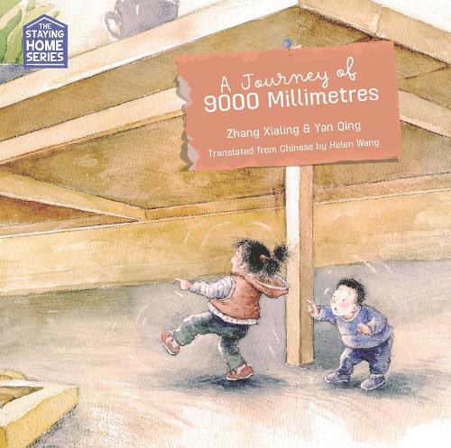 Cover of A Journey of 9000 millimetres